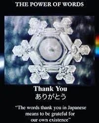 Dr. Emoto's structured water